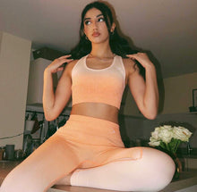 Load image into Gallery viewer, Vision Peach Set