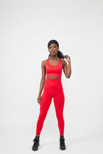 Load image into Gallery viewer, Diversity Red