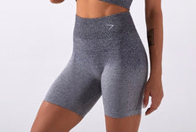Load image into Gallery viewer, Vision Grey Shorts